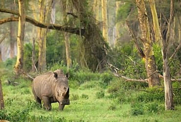Daftar Lengkap Taman Nasional di Indonesia