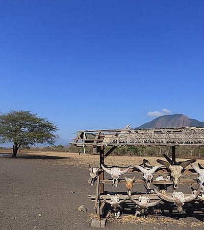 taman nasional baluran